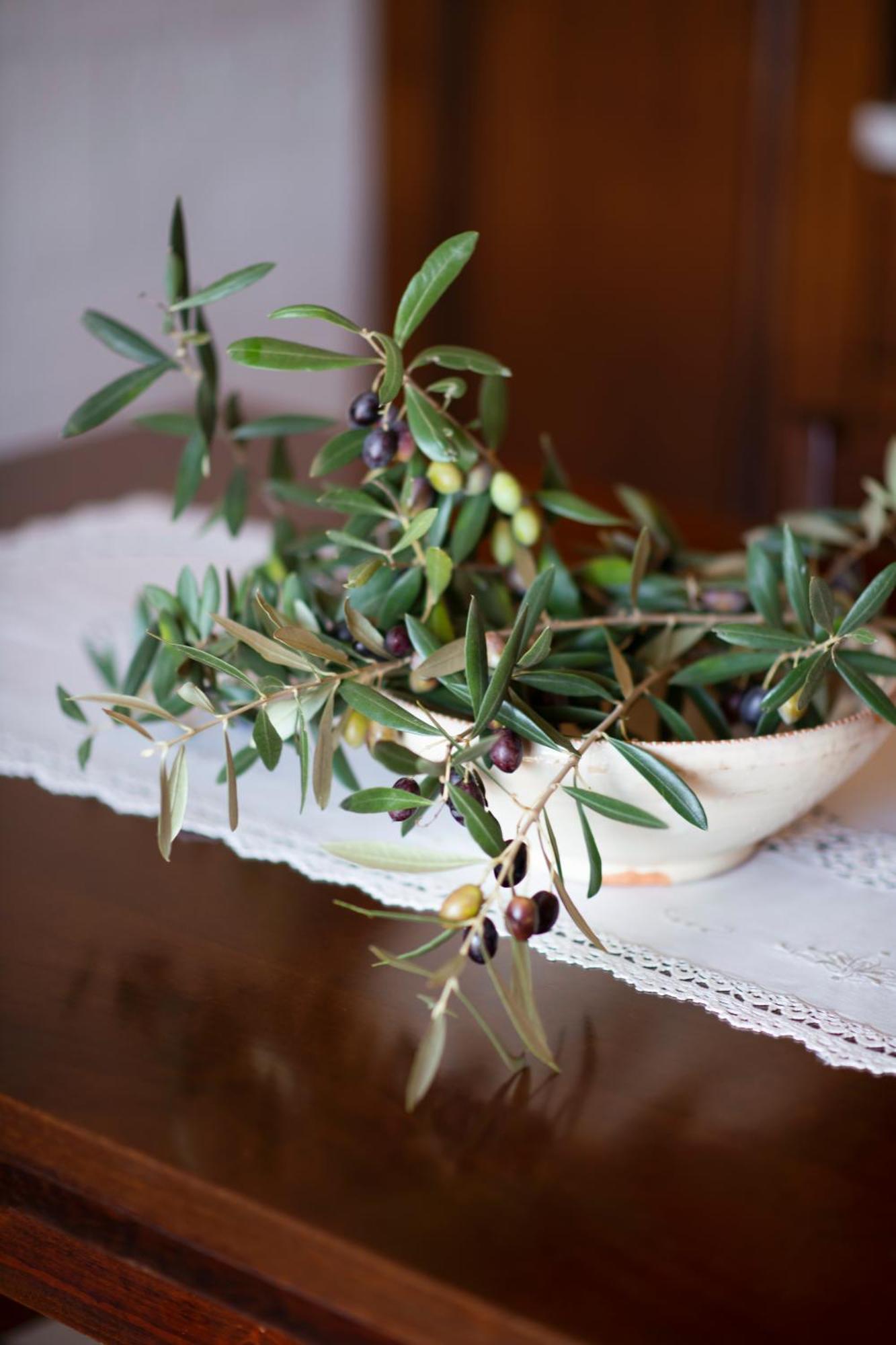 Magravì Bed & Breakfast Alberobello Ngoại thất bức ảnh