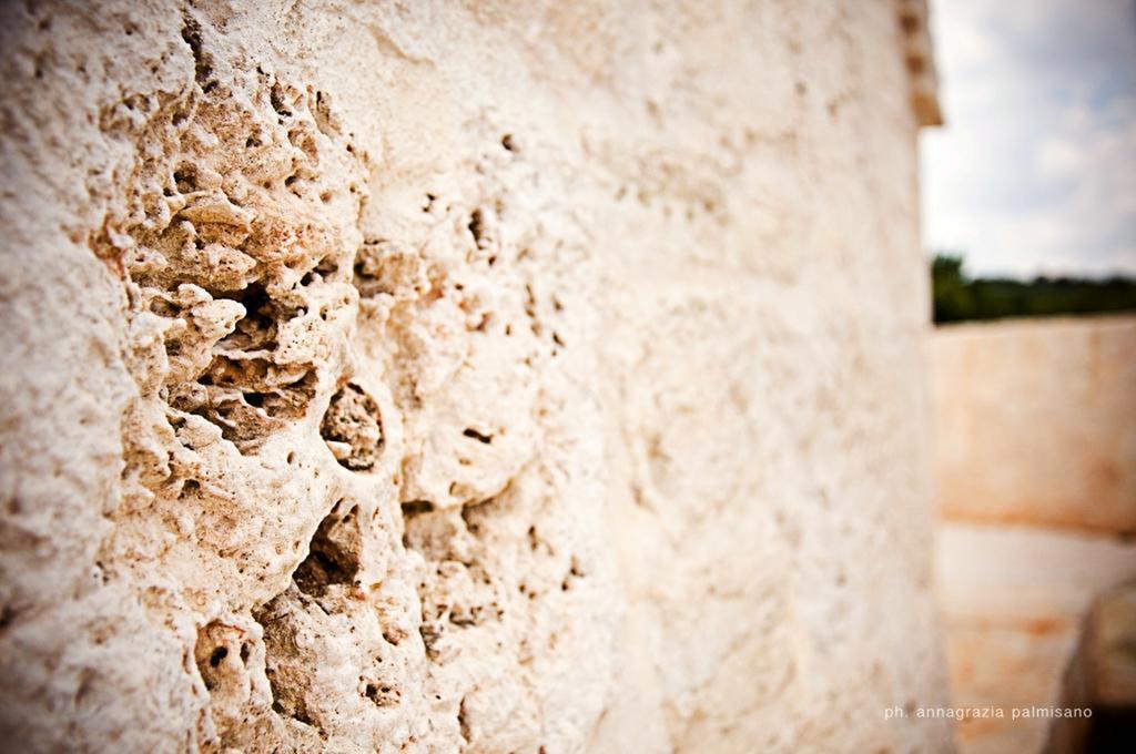 Magravì Bed & Breakfast Alberobello Ngoại thất bức ảnh